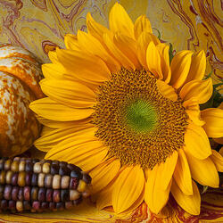 Пазл: Осенний натюрморт