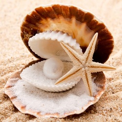 Пазл: Жемчужина