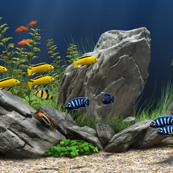 Пазл: Подводный мир