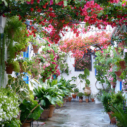 Пазл: Фестиваль цветочных двориков в Кордобе