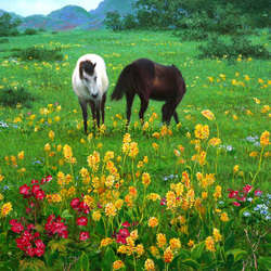 Пазл: По лугам гуляет лето