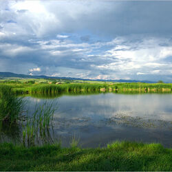 Пазл: После дождя