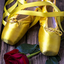 Пазл: Желтые пуанты и роза