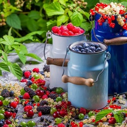 Пазл: Летнее удовольствие