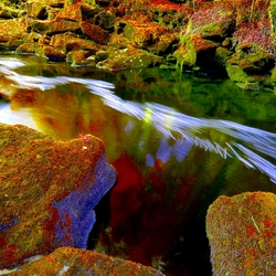 Пазл: Ривьера