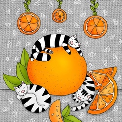 Пазл: Апельсиновые сны