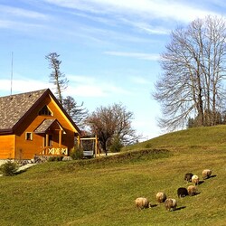 Пазл: Карпаты