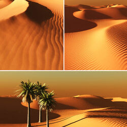 Пазл: Пустыни