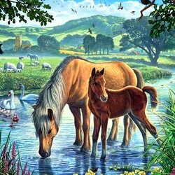 Пазл: На выгуле