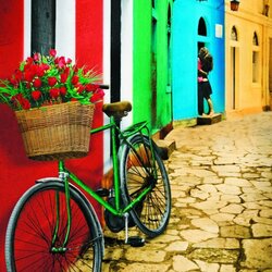 Пазл: Встреча