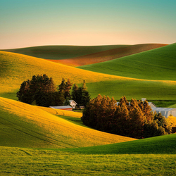 Пазл: Между холмами