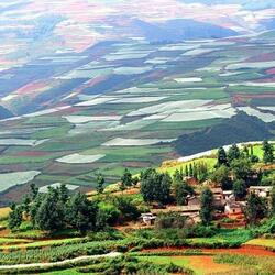 Пазл: Радуга на земле