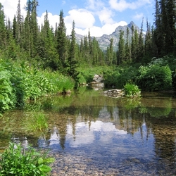 Пазл: Медвежий угол