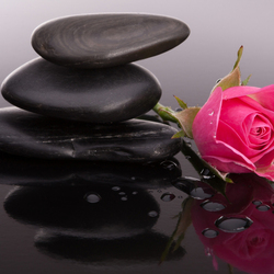 Пазл: Сила цветка