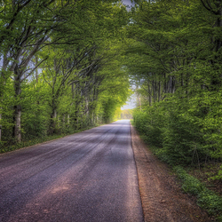 Пазл: Дорога