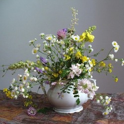 Пазл: Луговые цветы