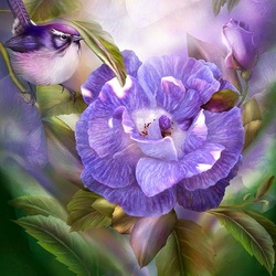 Пазл: Голубая роза