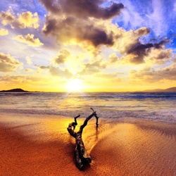 Пазл: Берег моря золотой