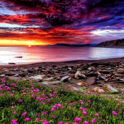 Пазл: На берегу залива