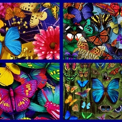 Пазл: Бабочки