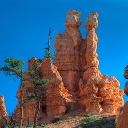 Пазл: Причуды природы