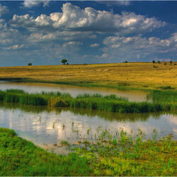 Пазл: Пейзаж