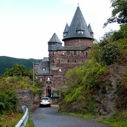 Пазл: Замок Шталек