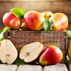 Пазл: Спелые груши