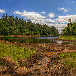 Пазл: Красота живой природы