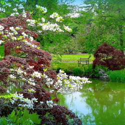 Пазл: Уголок Сада Олд Вестбури