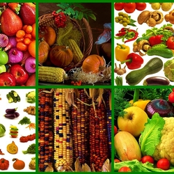 Пазл: Овощи