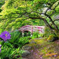 Пазл: Мостик в парке