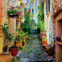Пазл: Французская улочка