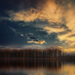 Пазл: Закатная роща