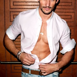 Пазл: Дэвид Ганди 