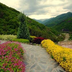 Пазл: Пейзаж