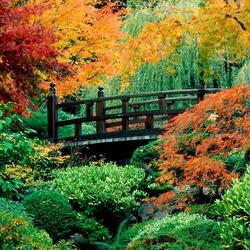 Пазл: Японский сад