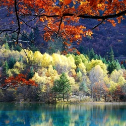 Пазл: Фантазии осени