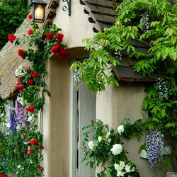 Пазл: Цветы у дома