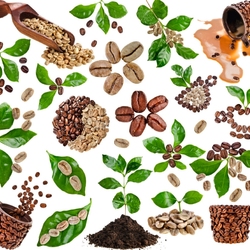 Пазл: Кофейные зерна и листья кофейного дерева