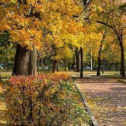 Пазл: Московская осень