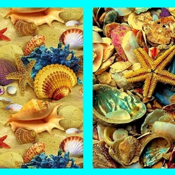 Пазл: Дары моря