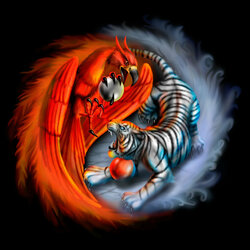 Пазл: Инь и Янь