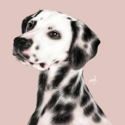 Пазл: Далматин