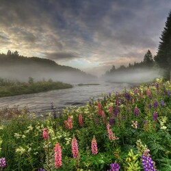 Пазл: Утренний туман