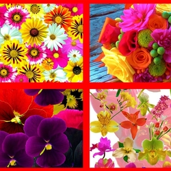 Пазл: Цветы