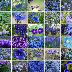 Пазл: Синий коллаж