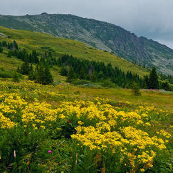 Пазл: Горный пейзаж