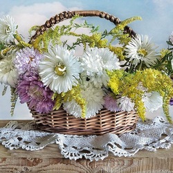 Пазл: Астры