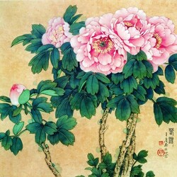 Пазл: Пионы